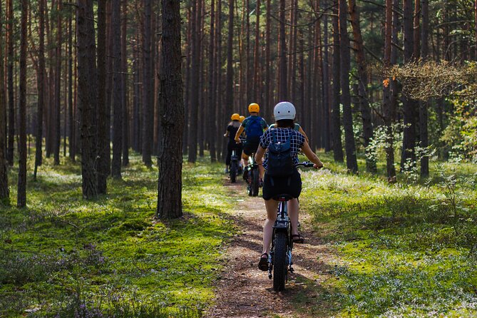 Guided Ebike Tour on Forest Roads and Trails Near Riga - Included Tour Elements