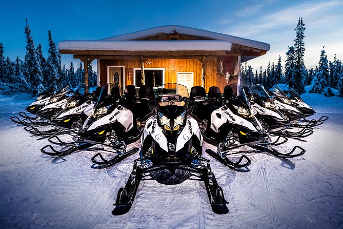 Guided Fairbanks Snowmobile Tour - Booking Information