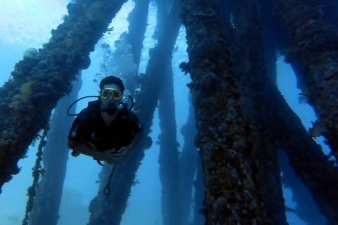 Guided Scuba Diving Adventure in Aqaba - Accessibility and Restrictions