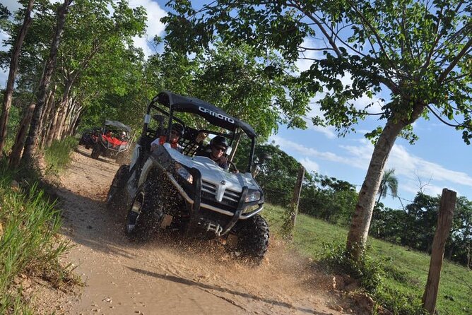 Guided Tour in Polaris (4X4) by Macao Beach, Taino Cave and Typical House - Accessibility Considerations