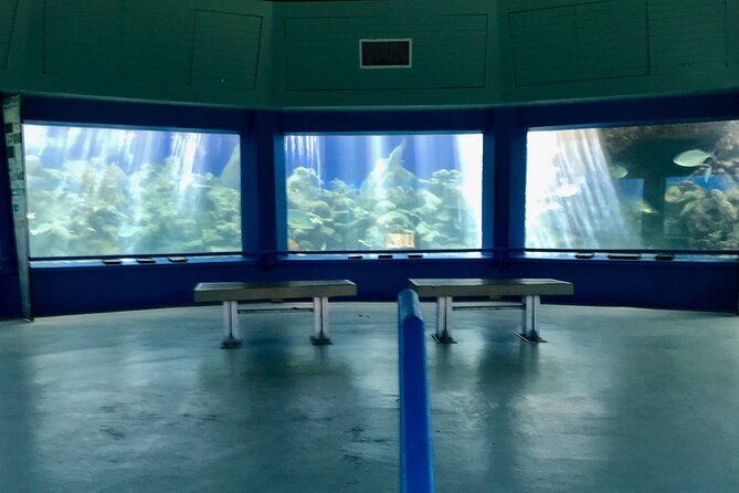 Guided Tour of Coral World Ocean Park & Happy Hour - Meeting Point and Start Time