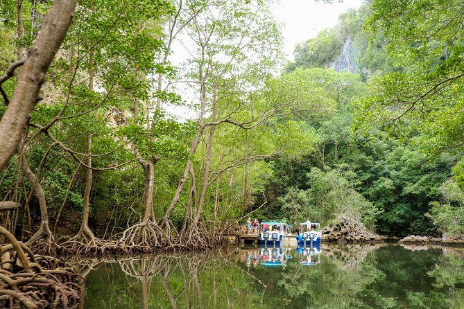 Haitises National Park and Montaña Redonda (Full Day) - Review Highlights