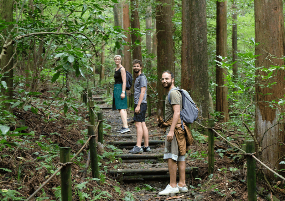 Hakone Hachiri: Old Tokaido Highway Hiking Tour - Scenic Viewpoints Along the Way