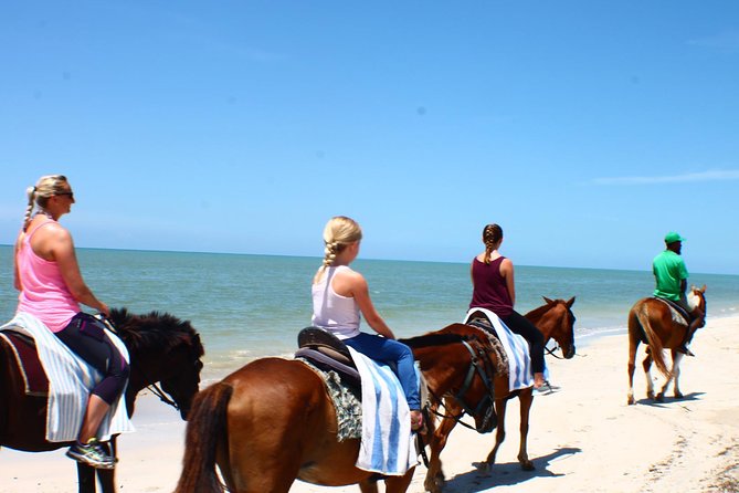 Half Day Beach Horseback Riding in Ocho Rios + Lunch - Pickup Information