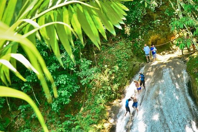 Half-Day Blue Hole and Secret Falls Tour From Runaway Bay - Pickup and Meeting Point