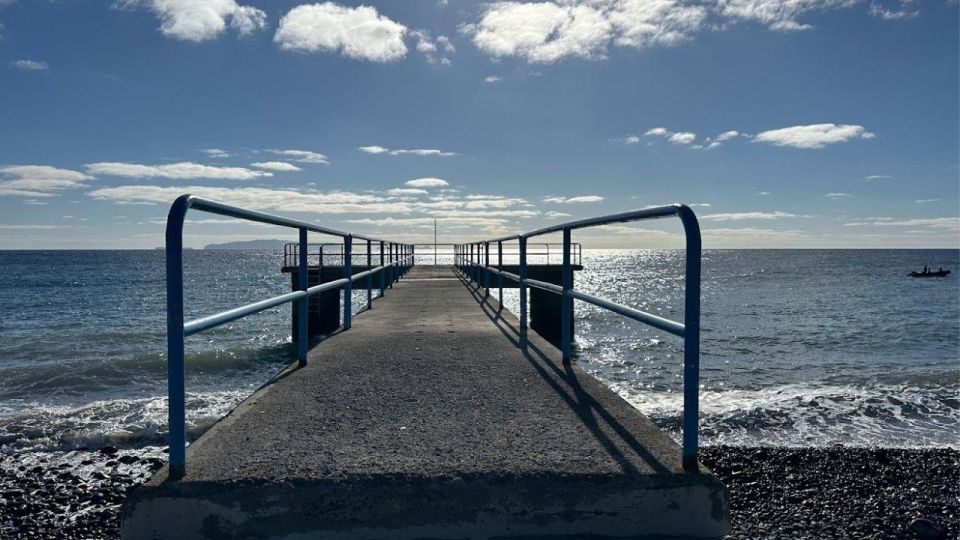 Half-Day Country Market Tour on Madeira Island - Market Exploration