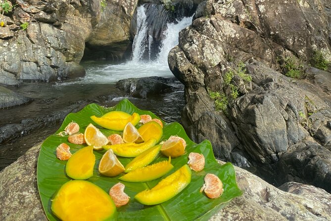 Half-Day El Yunque and Waterslides Adventure From Fajardo - Included Activities