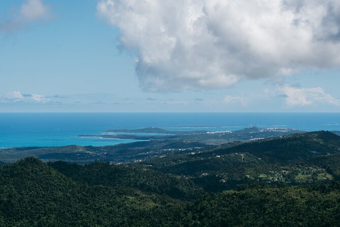 Half-Day El Yunque National Forest Tour From San Juan - Waterfall Encounters