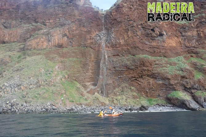 Half Day Kayak Tours - Tour Experience