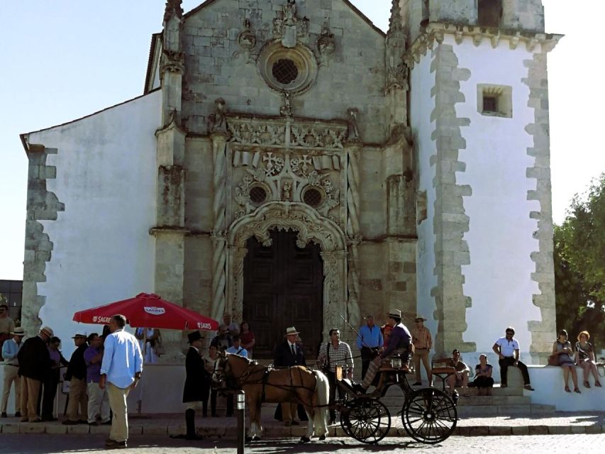 Half-Day Lusitanian Horses & Photography Museum Private Tour - Tour Itinerary