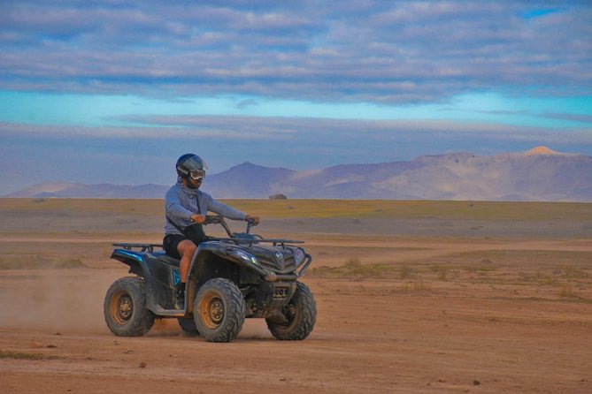 Half-Day Palm Grove Desert Quad & Camel Tour - Camel Ride Experience