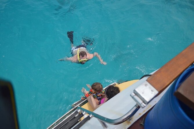 Half Day Private Snorkeling Experience in Aruba BYOFD - Private Tour and Activity