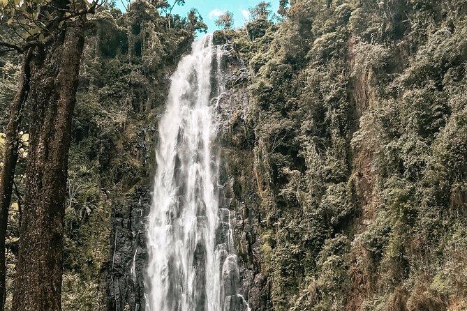 Half-Day Private Tour to Materuni Waterfalls and Coffee Excursion - Accessibility and Participation