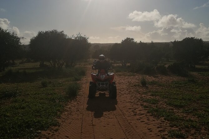 Half Day Quad in Agadir - Navigating Lush Moroccan Forests