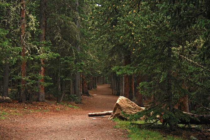 Half Day Rocky Mountain Escape - Discovering Echo Lake Park