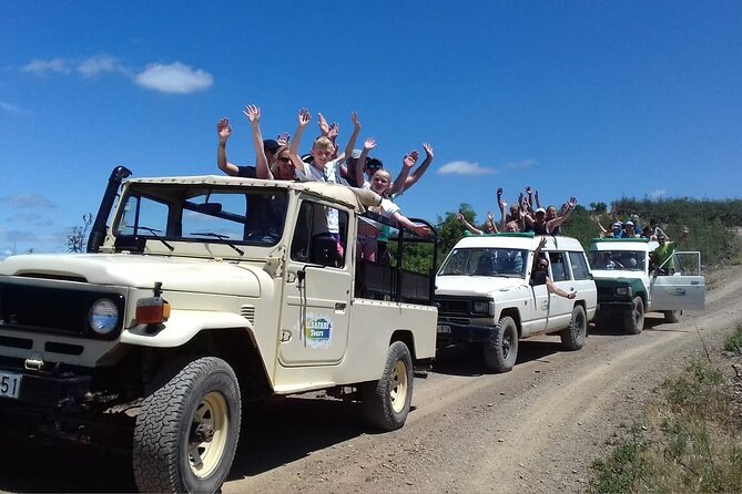 Half Day Safari Tour With Wine Tasting - Tour Duration and Type