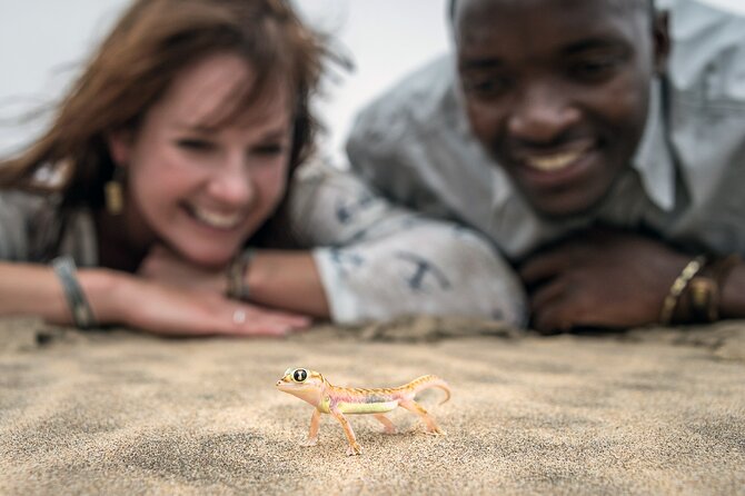 Half-Day Sandwich Harbour Tour From Walvis Bay With Lunch - Observe Endangered Bird Species