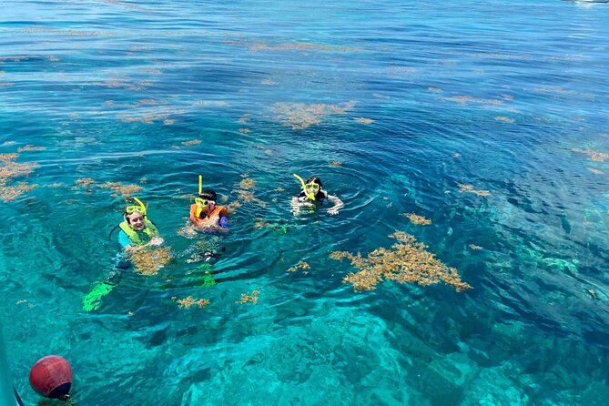 Half Day Snorkel Trip on Reefs in the Florida Keys - Discovering the Coral Reef Ecosystem