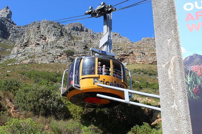 Half-Day Tour of Cape Town City - Tour Highlights and Experience