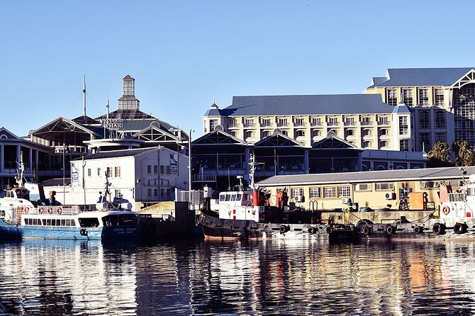 Half Hour Seal and Harbour Cruise From Cape Town - Booking Information and Policies