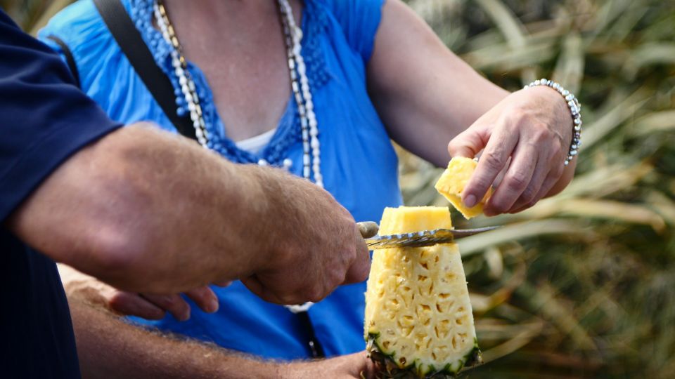 Haliimaile: Pineapple Farm Tour - Inclusions