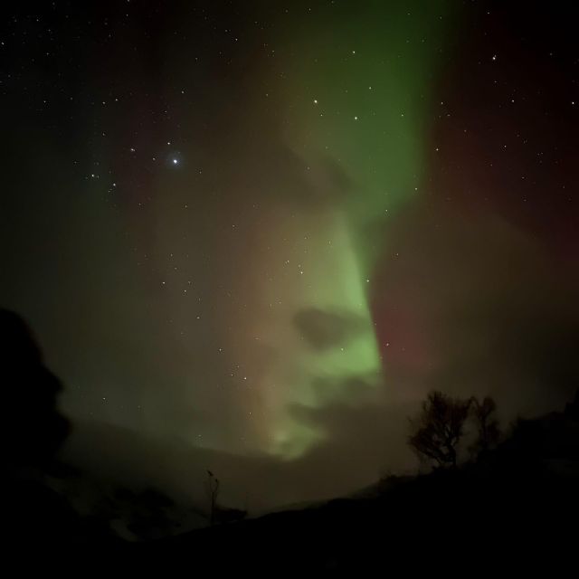 Harstad/Narvik/Tjeldsund: Northern Lights Sightseeing by Car - Taking in the Thrilling Fishing Adventure