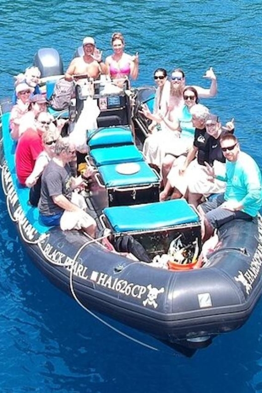 Hawaii: Private Snorkeling Tour With Lunch and Drinks - Marine Life Encounters