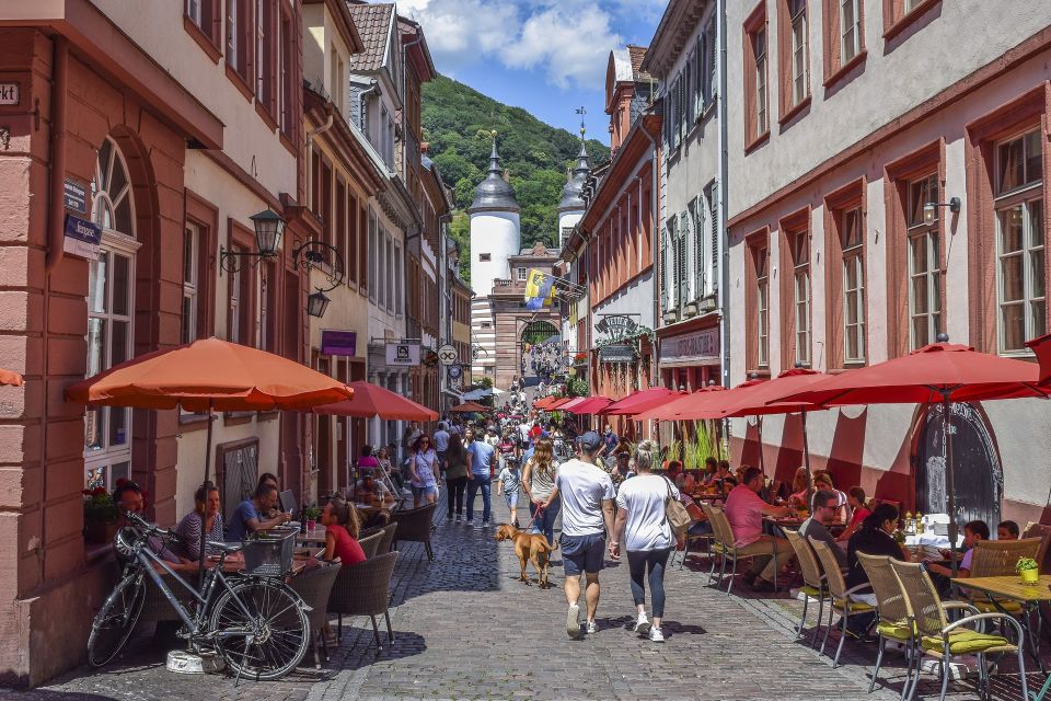 Heidelberg - Old Town Tour Including Castle Visit - Tour Inclusions