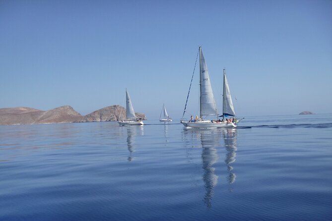 Heraklion: Nature Reserve Full Day Sailing to Dia Island & Lunch - Pickup and Transportation