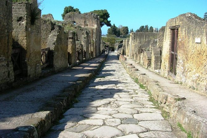 Herculaneum Ruins - Highlights of Herculaneum