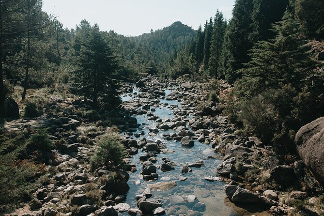 Hidden Gems of Peneda-Gerês National Park on a Full-Day Tour - Private Transportation and Small-Group Experience