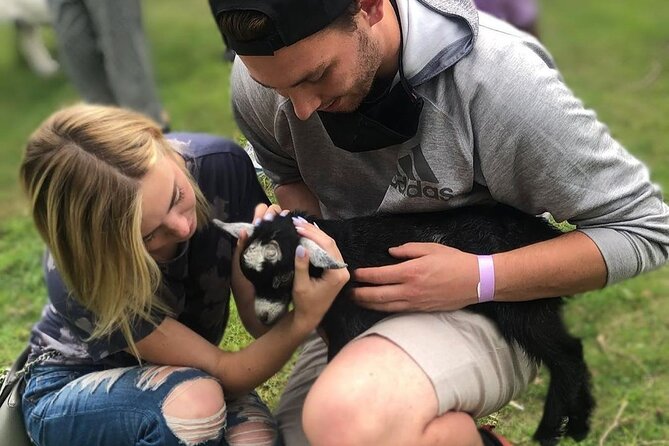 High Goat Jumble in Ontario - Interacting With the Goats