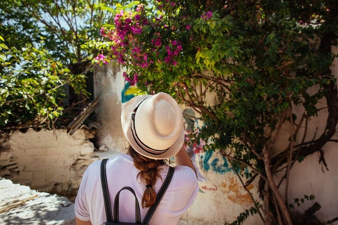 Highlights & Hidden Gems With Locals: Best of Athens Private Tour - Visiting Hadrians Library