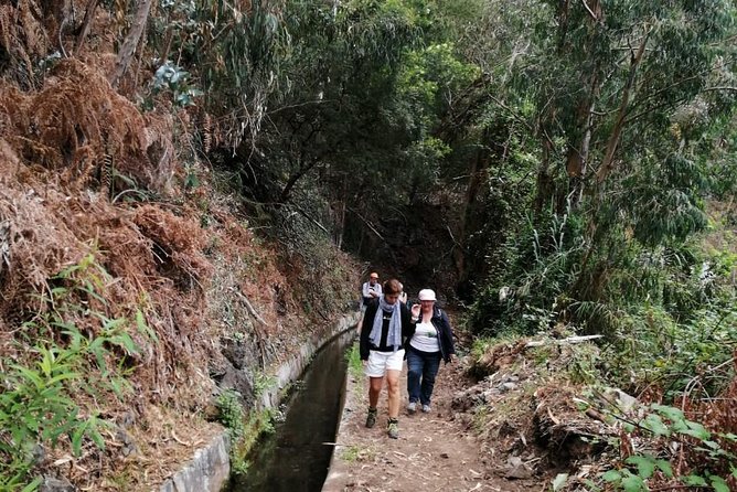 Hiking and Trekking Tours in Madeira - Endemic Flora and Fauna