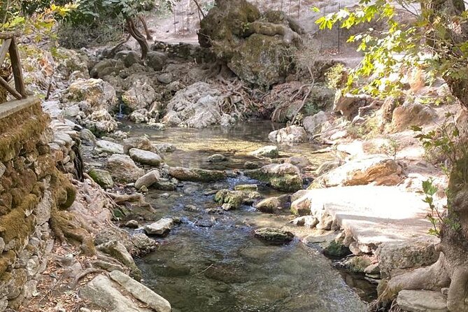 Hiking to the Seven Springs Between Olive Groves and Vegetation From Archangelos - Pickup and Meeting Point