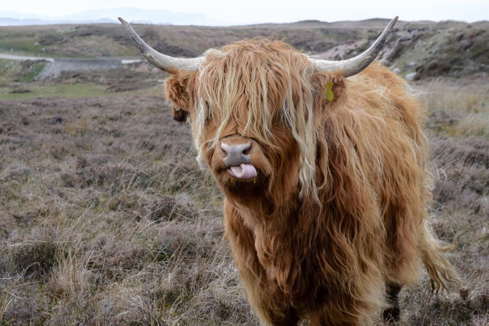 Hill & Nature Hike - Discover Real Edinburgh With a Local - Itinerary