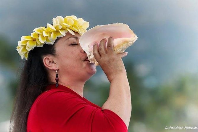 Historical Dinner Cruise to Kealakekua Bay - Inclusions and Accessibility