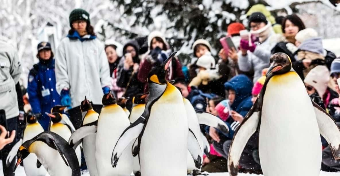 Hokkaido: Asahiyama Zoo, Biei, and Ningle Terrace Tour - Asahiyama Zoo