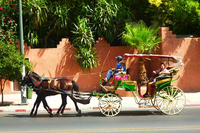 Horse and Carriage Ride With Majorelle Garden - Visiting Majorelle Gardens