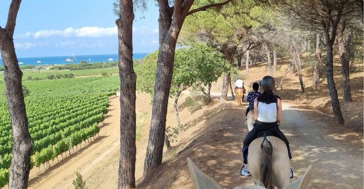 Horse Back Riding and Wine Tasting in Ramatuelle - Wine Tasting at Domaine Des Tournels