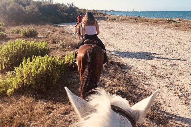 Horse Ride in a Salento Nature Reserve With Transfer From Lecce - Transport Arrangements