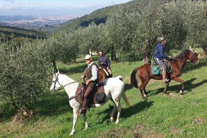 Horse Ride, Olive Oil and Local Foods Tasting in a Tuscan Farm - Logistics