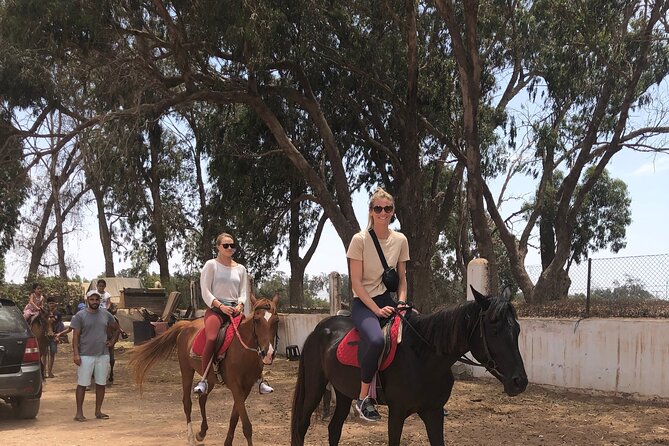 Horse Riding Agadir - Spotting Wildlife on the Ride