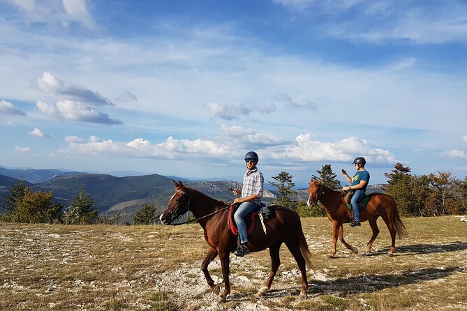 Horse Riding in Haute Provence, Luberon, and Forcalquier - Inclusions and Requirements