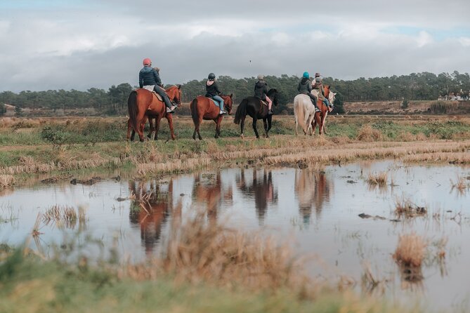 Horse Riding on the Beach With Private Transfer From Lisbon - Additional Information