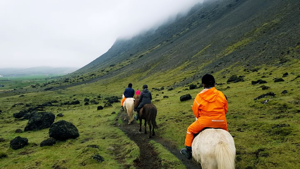 Horse Riding Tour in Reykjadalur (Hotspring Valley) - Included in the Tour