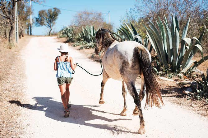 Horse Sanctuary: a Nature Walk With Rescued Horses by Your Side - Tour Schedule