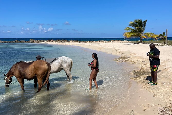 Horseback Ride and Swim Private Tour From Montego Bay - Participant Guidelines