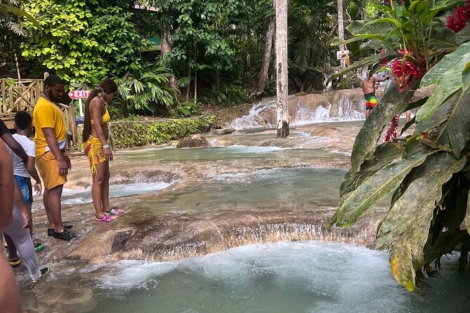 Horseback Ride N Swim & Dunns River Falls From Montego Bay - Additional Information