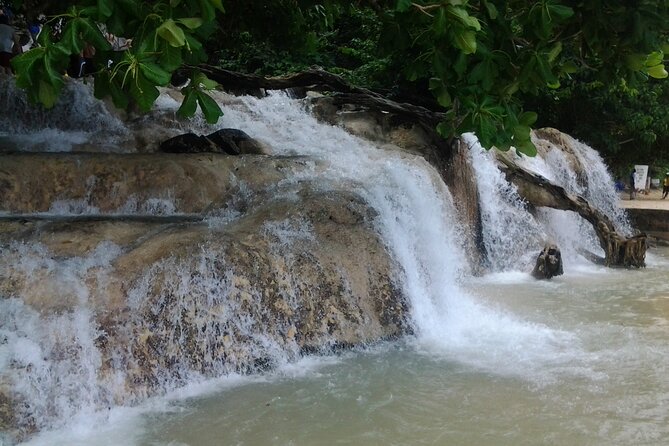 Horseback Ride Ziplining and Dunns River Falls Adventure From Montego Bay, - Health and Safety Guidelines